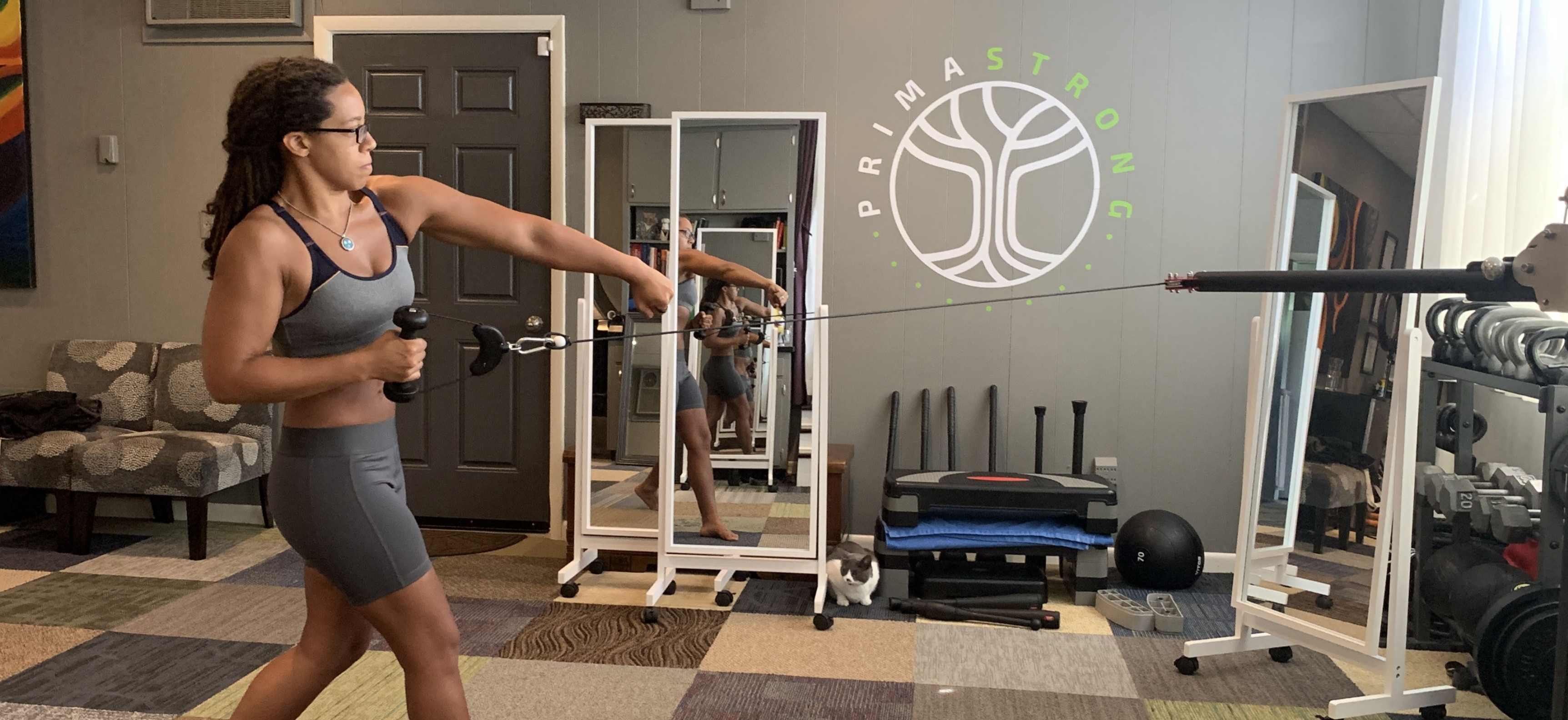 Functional Movement, Posture Correction, and Private Strength and Fitness Training in Chattanooga, TN | Primastrong